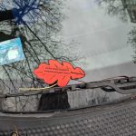 575634899 1163657035864664 3631149877875534513 n