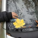 575802853 1315866479843343 1384245206850492897 n